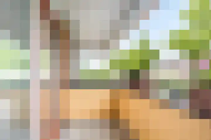 Dokter Herskade 38 Oud-Beijerland thumbnail 10