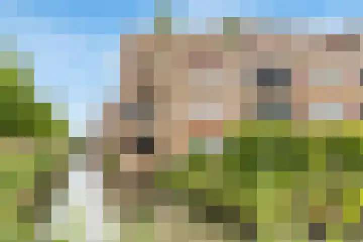 Dokter Herskade 38 Oud-Beijerland thumbnail 18