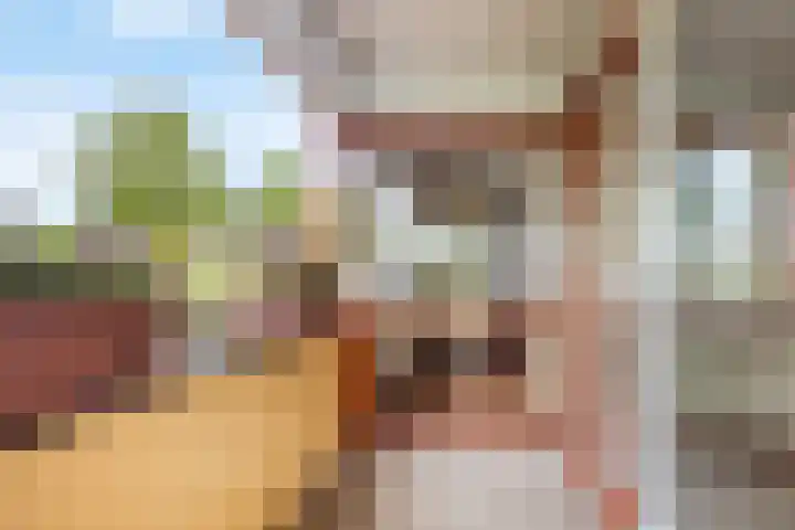 Dokter Herskade 38 Oud-Beijerland thumbnail 9