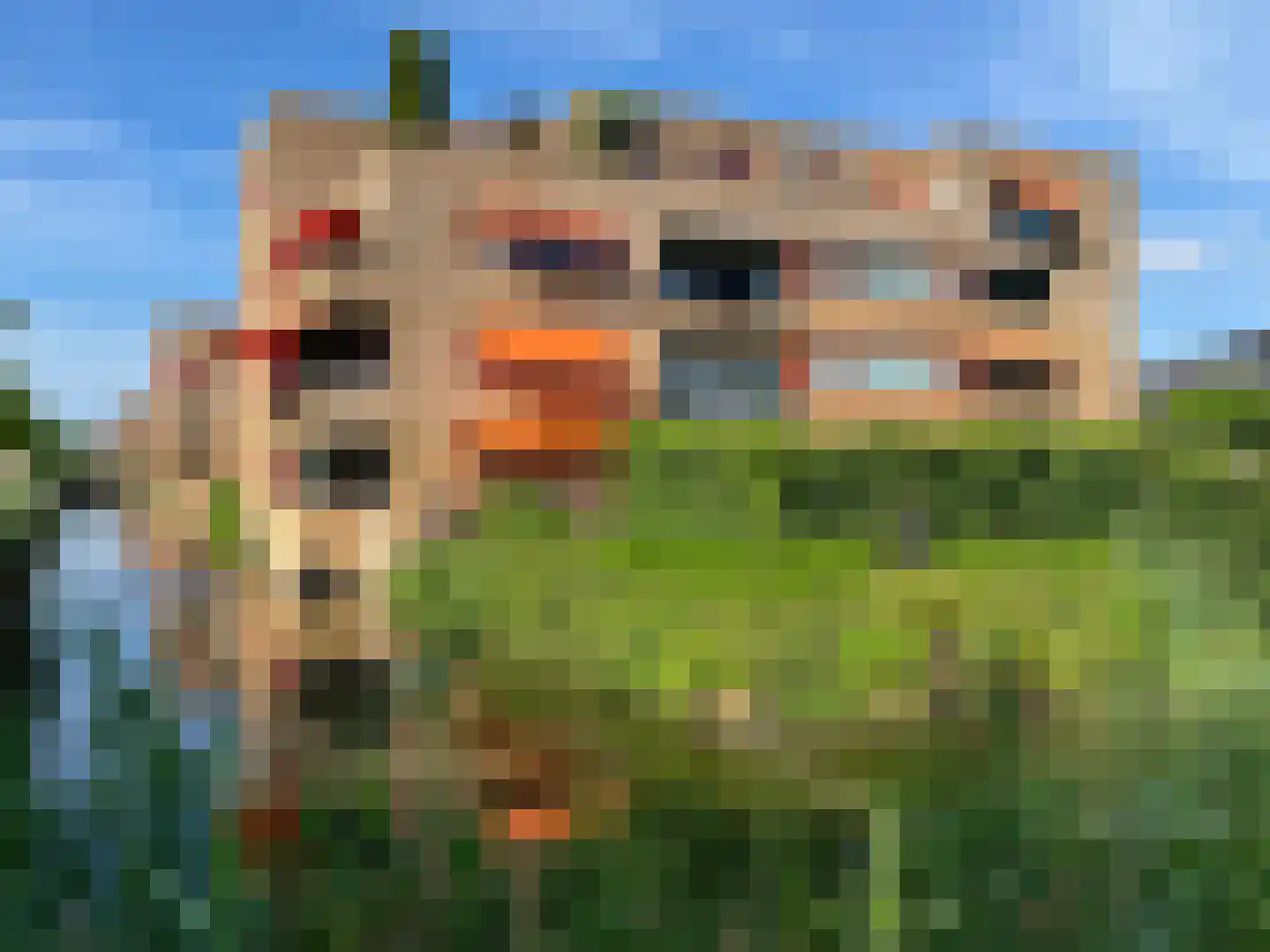 Dokter Herskade 42 Oud-Beijerland