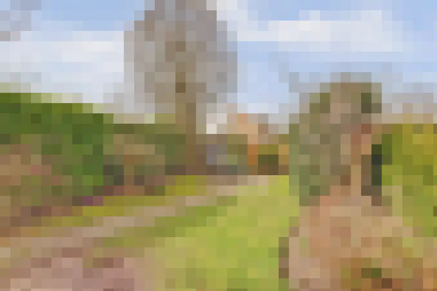 Dokter Hiemstralaan 34 Gorinchem thumbnail 36
