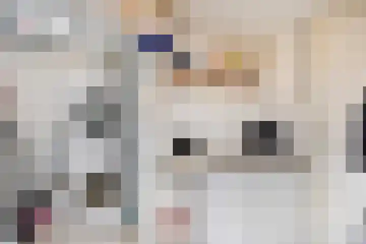 Dokter Hiemstralaan 36 Gorinchem thumbnail 12