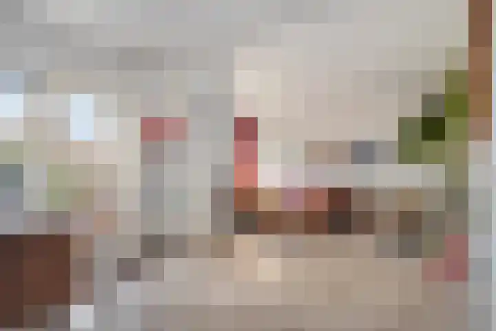 Dokter Hiemstralaan 36 Gorinchem thumbnail 4