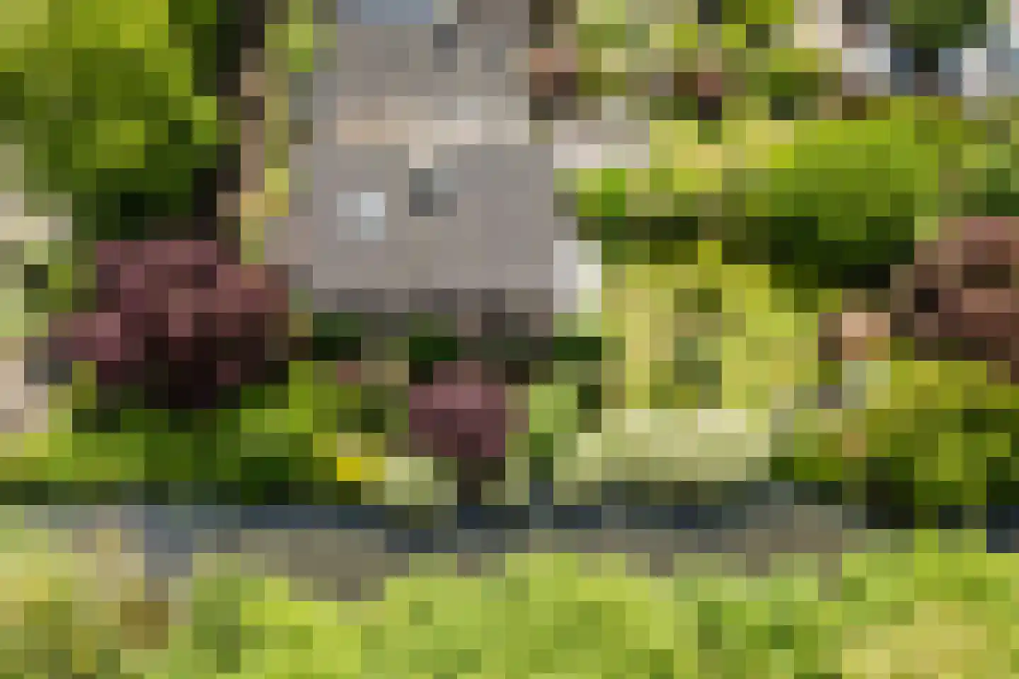 Dokter Hiemstralaan 44 Gorinchem thumbnail 17