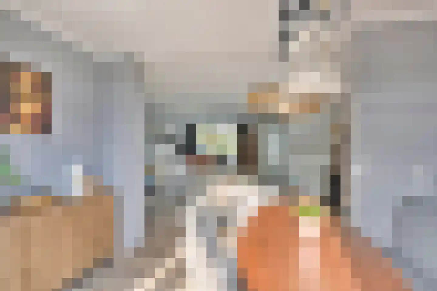 Dokter Hiemstralaan 63 Gorinchem thumbnail 8