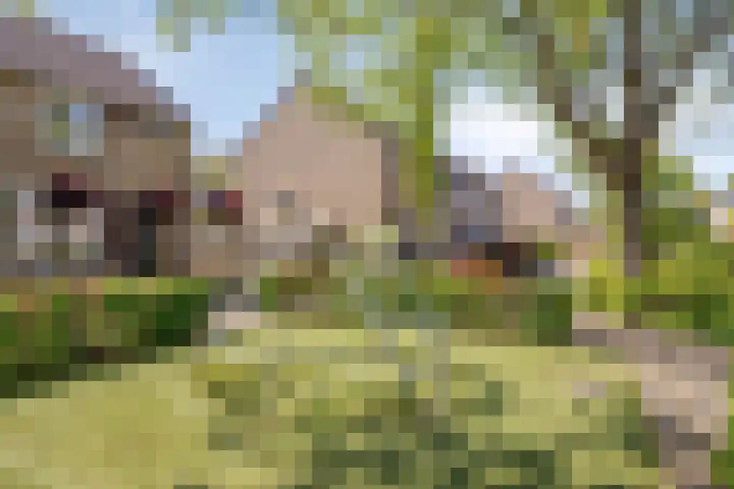 Dokter Hiemstralaan 89 Gorinchem thumbnail 35