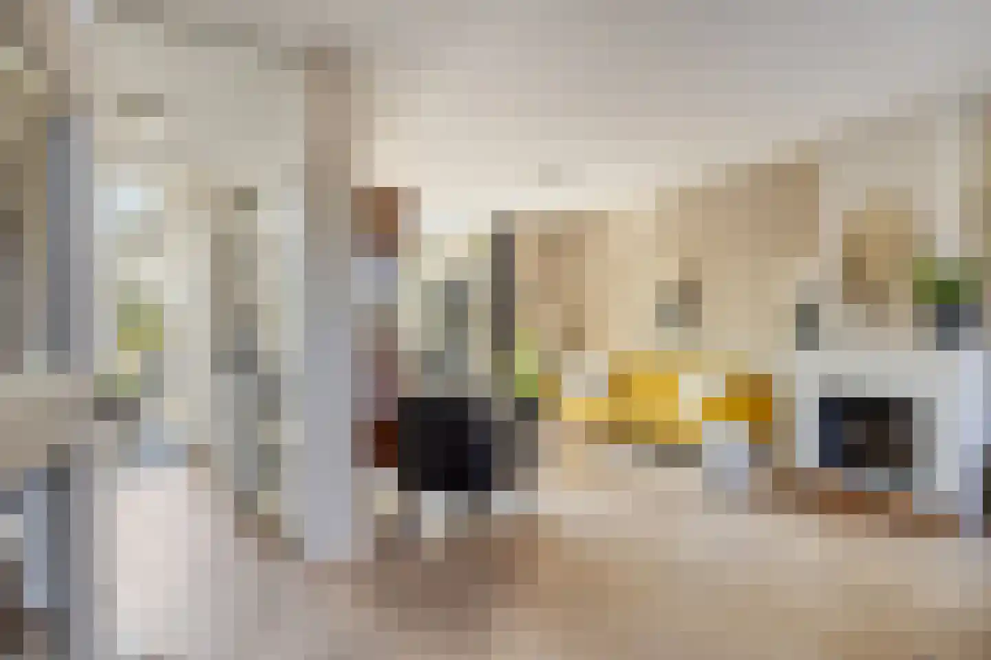 Dokter Hiemstralaan 89 Gorinchem thumbnail 4