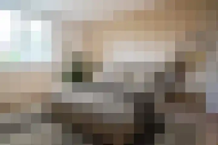 Dokter Hiemstralaan 93 Gorinchem thumbnail 7