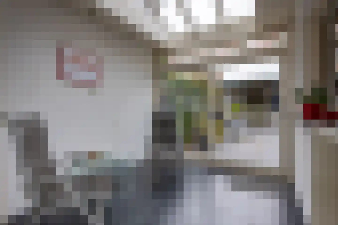 Dokter Hillenlaan 5 Vught thumbnail 25
