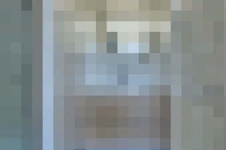 Dokter Holtropstraat 22 Ermelo thumbnail 28