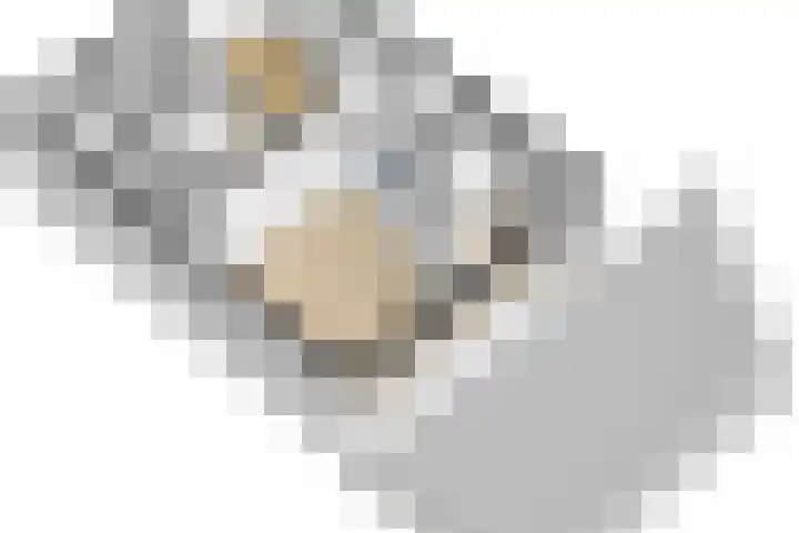 Dokter Holtropstraat 22 Ermelo thumbnail 43