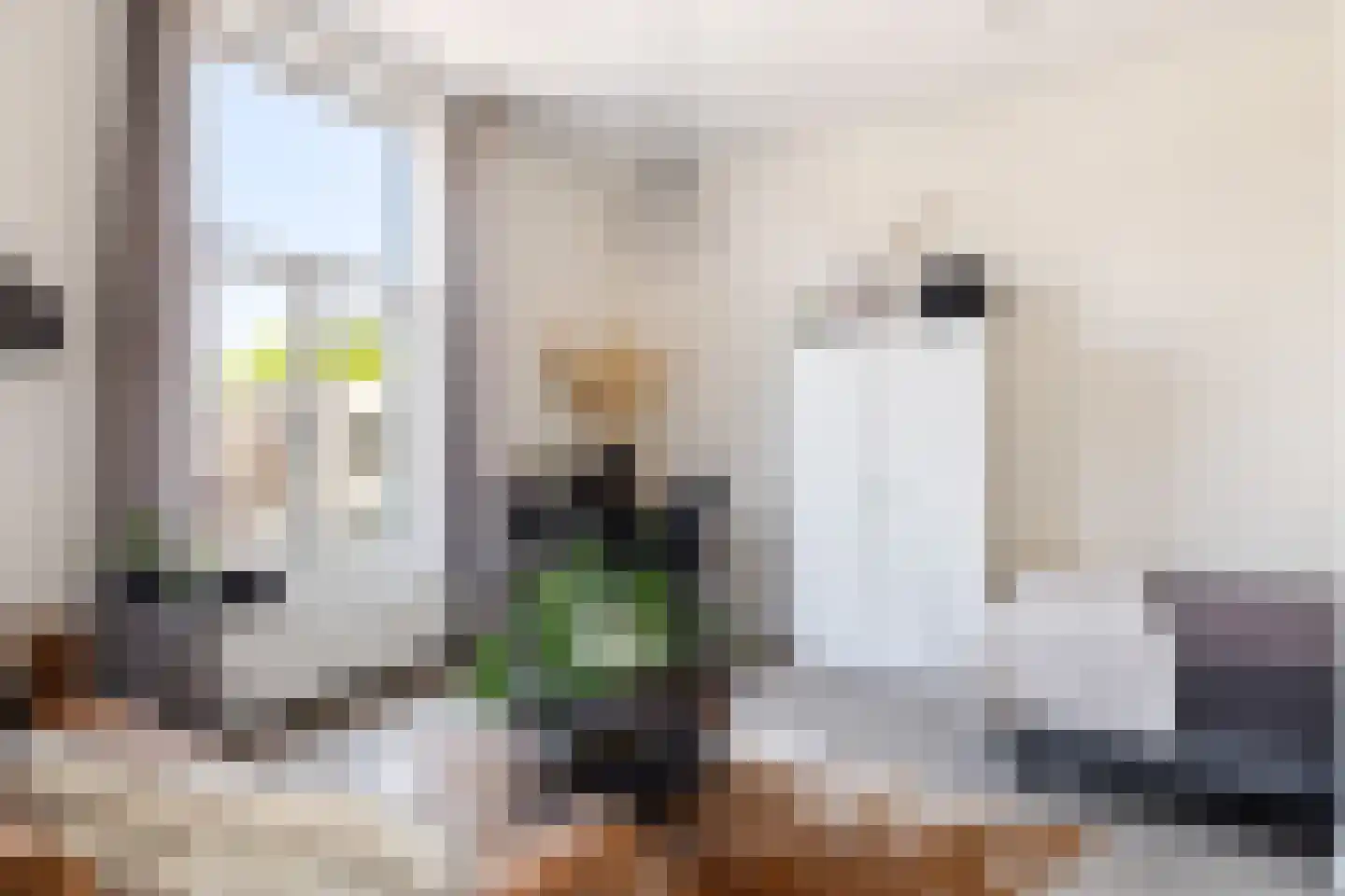 Dokter Holtropstraat 26 Ermelo thumbnail 13