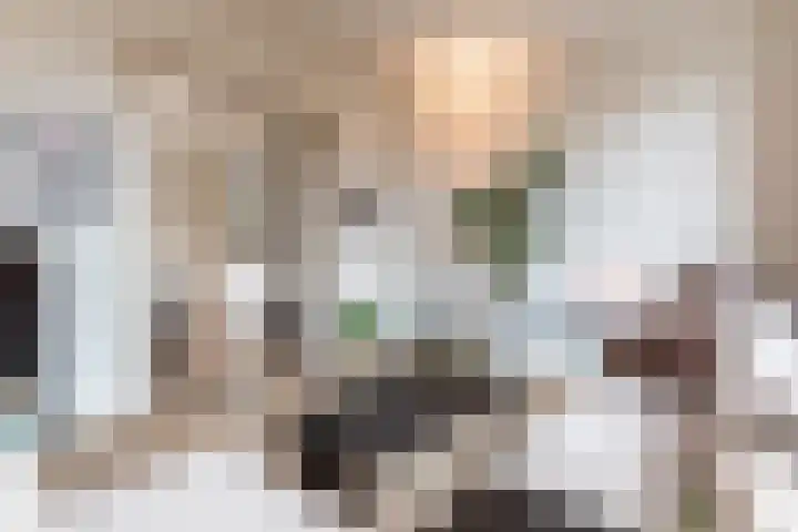 Dokter Holtropstraat 93 Ermelo thumbnail 13