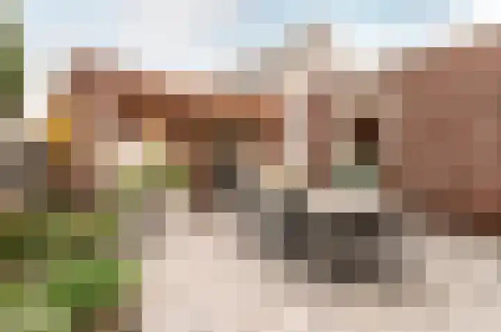 Dokter Holtropstraat 93 Ermelo thumbnail 38