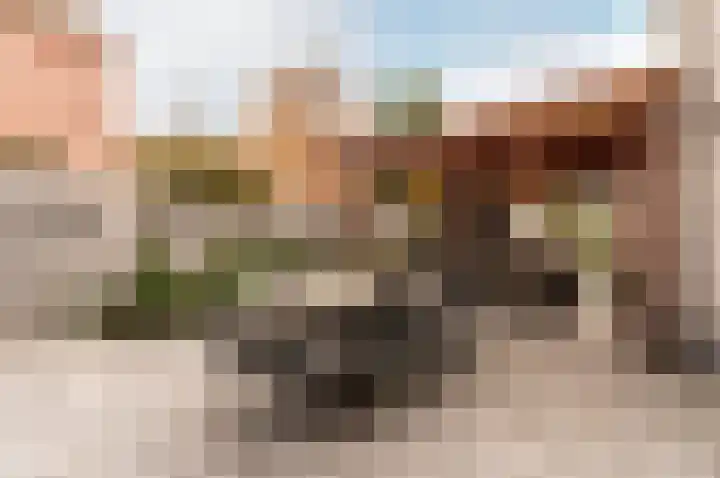 Dokter Holtropstraat 93 Ermelo thumbnail 39