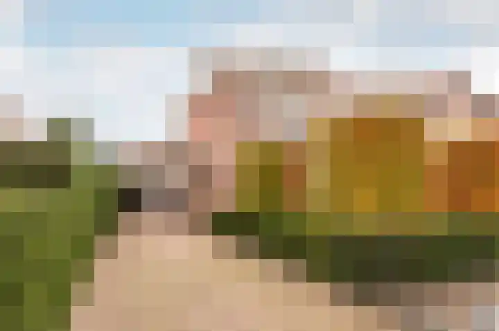 Dokter Holtropstraat 93 Ermelo thumbnail 49