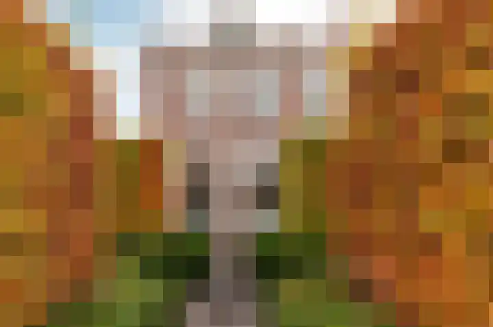 Dokter Holtropstraat 93 Ermelo thumbnail 7