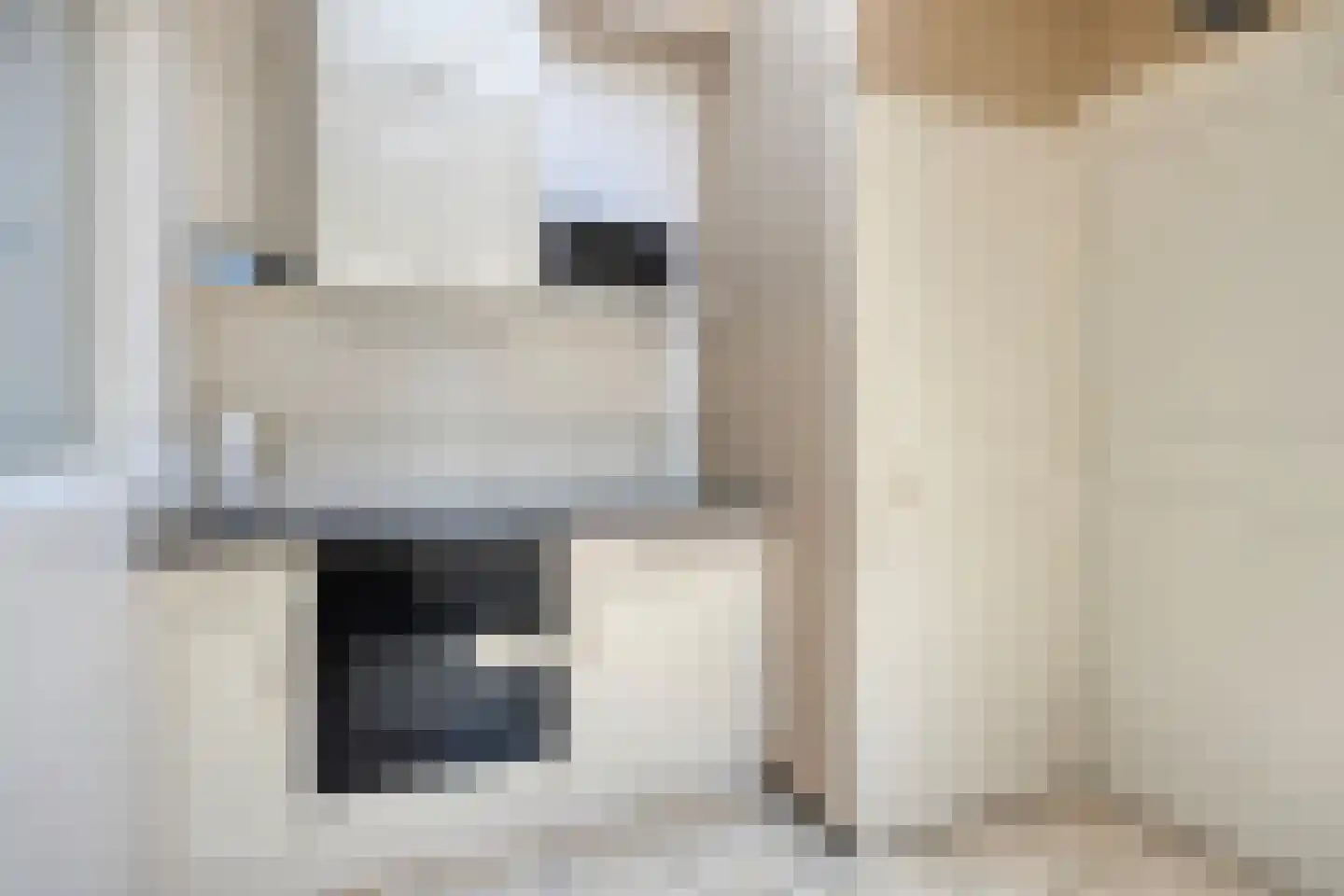 dokter Hondelinkstraat 5 Denekamp thumbnail 11
