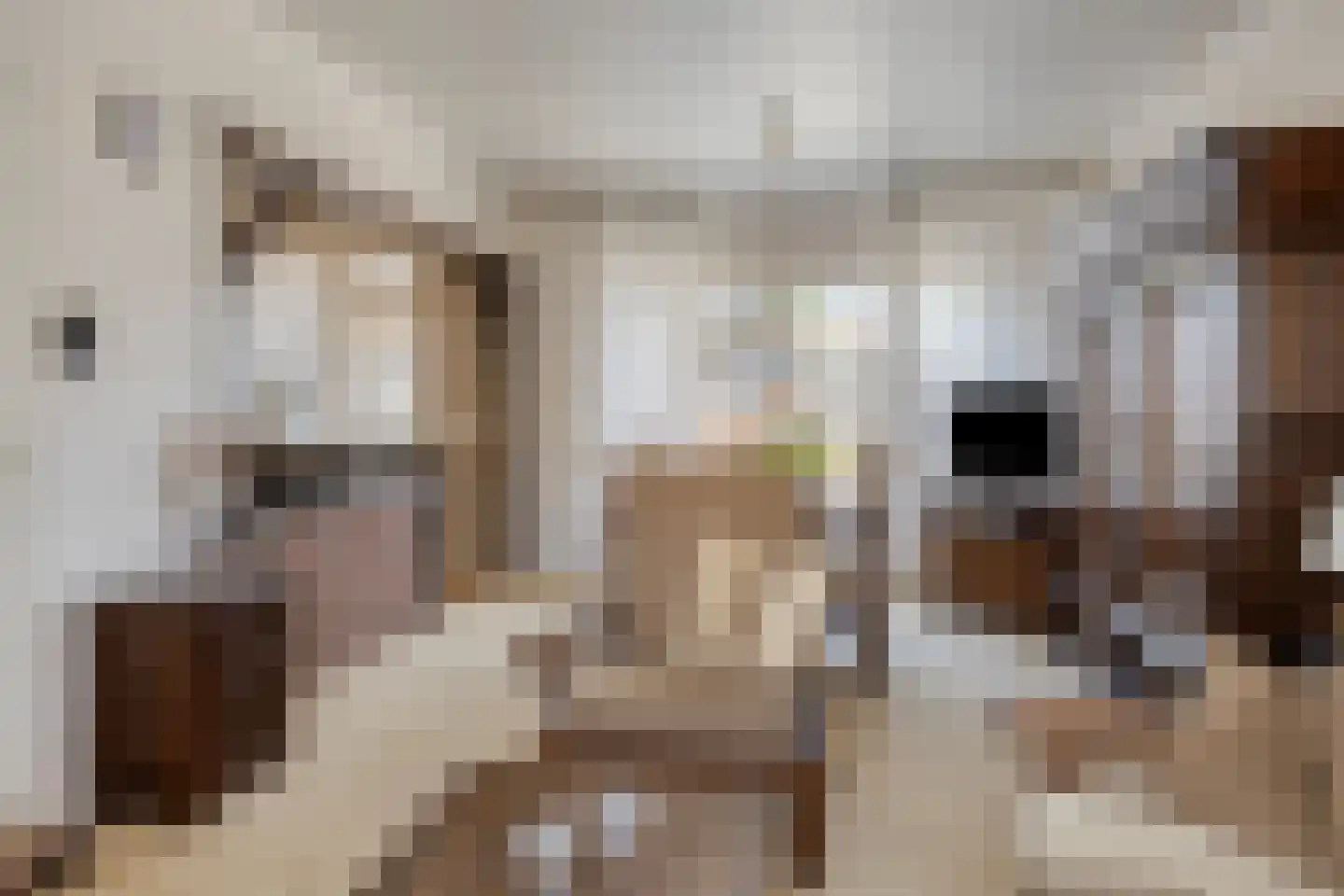 dokter Hondelinkstraat 5 Denekamp foto 2
