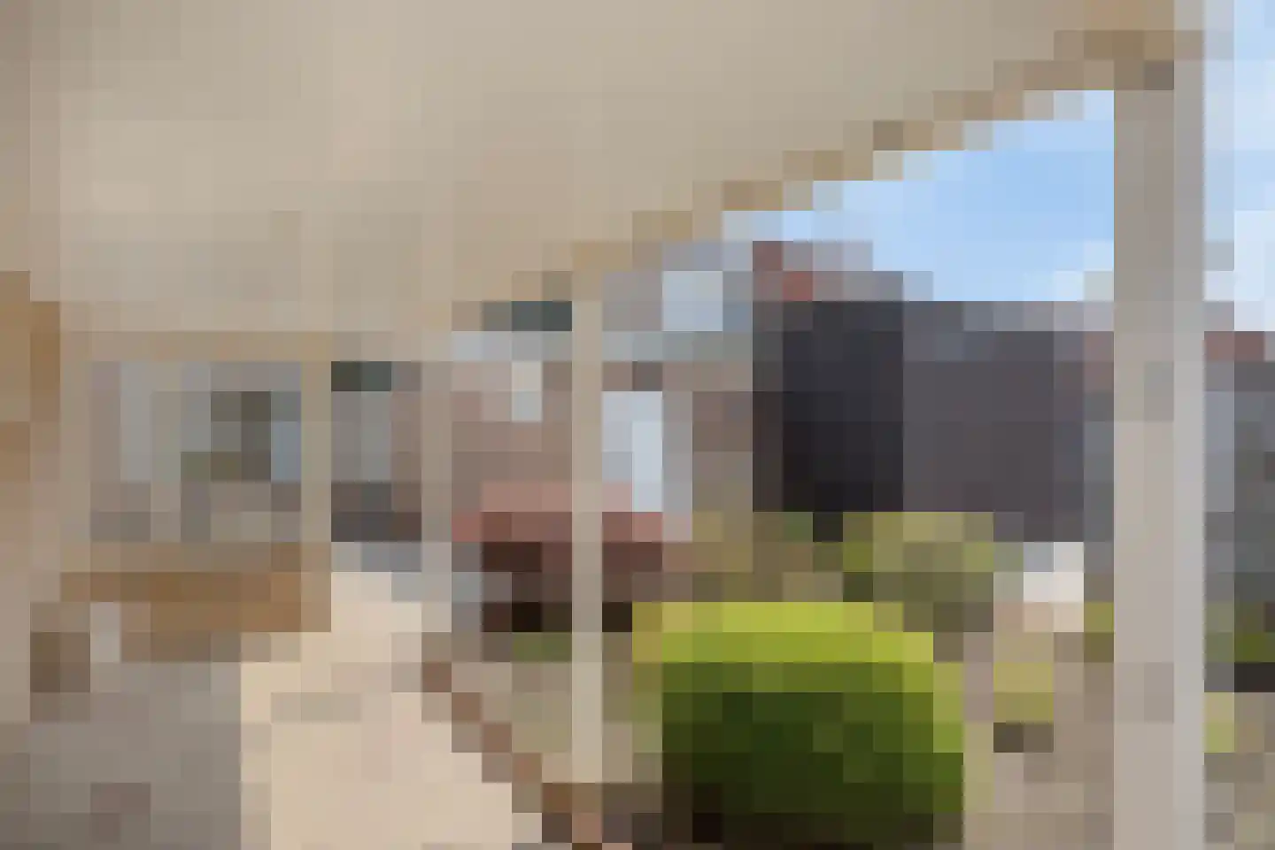 dokter Hondelinkstraat 5 Denekamp thumbnail 27