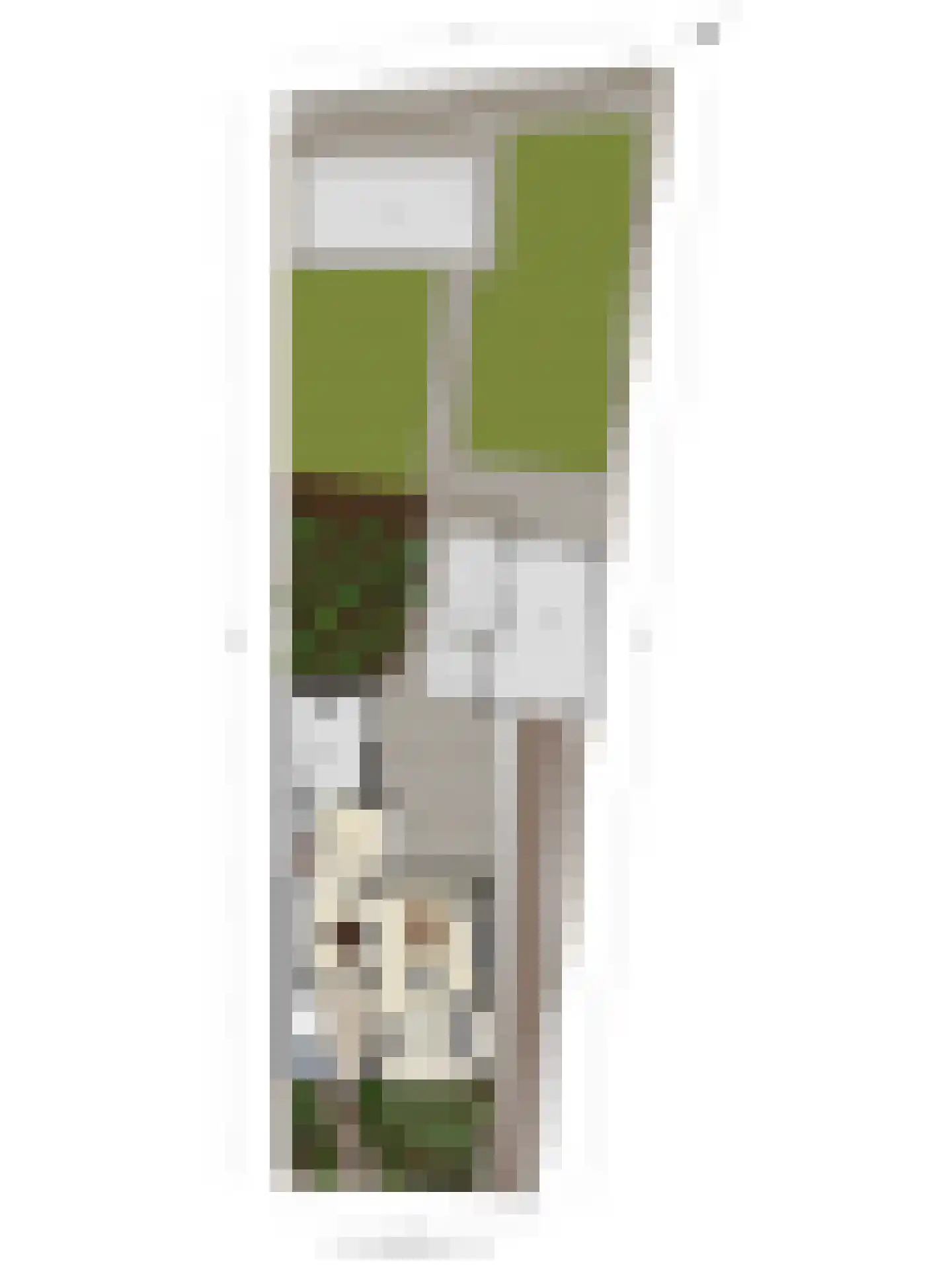 dokter Hondelinkstraat 5 Denekamp thumbnail 33