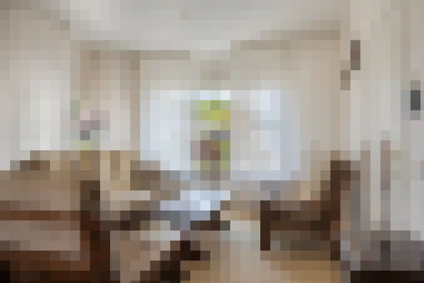 dokter Hondelinkstraat 5 Denekamp thumbnail 5