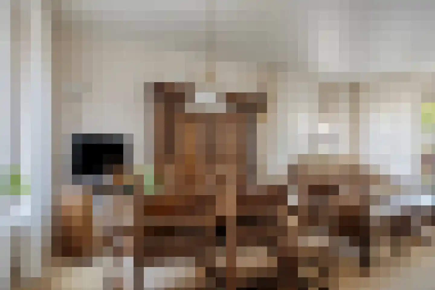 dokter Hondelinkstraat 5 Denekamp thumbnail 6