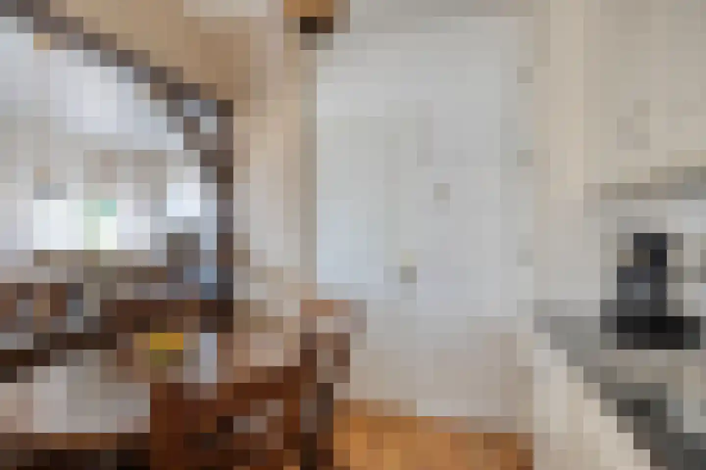 dokter Hondelinkstraat 5 Denekamp thumbnail 7