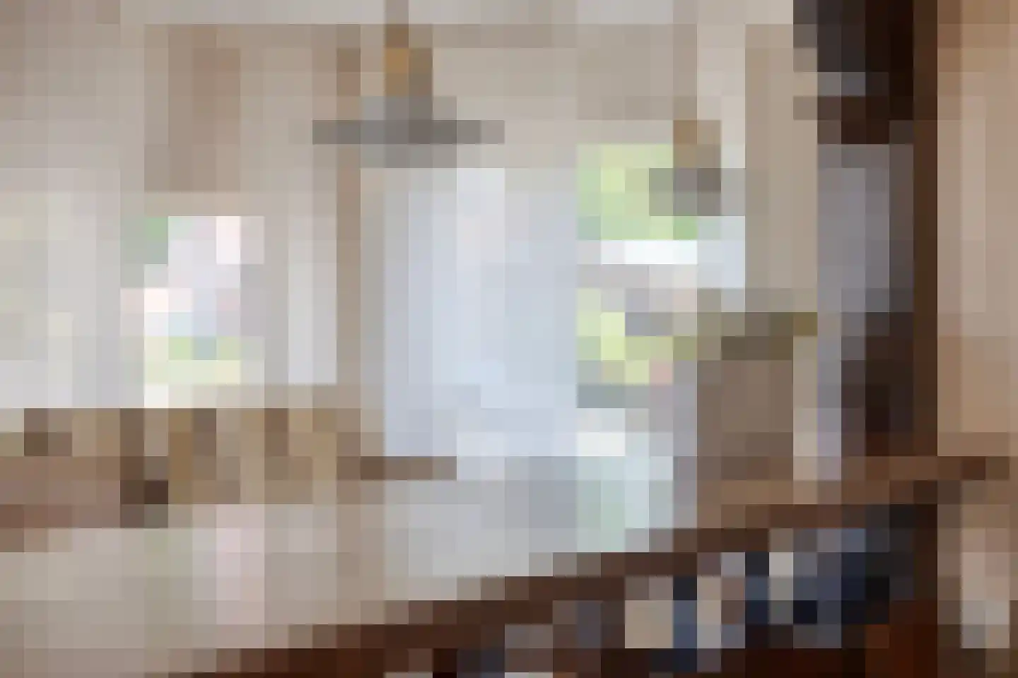 dokter Hondelinkstraat 5 Denekamp thumbnail 8