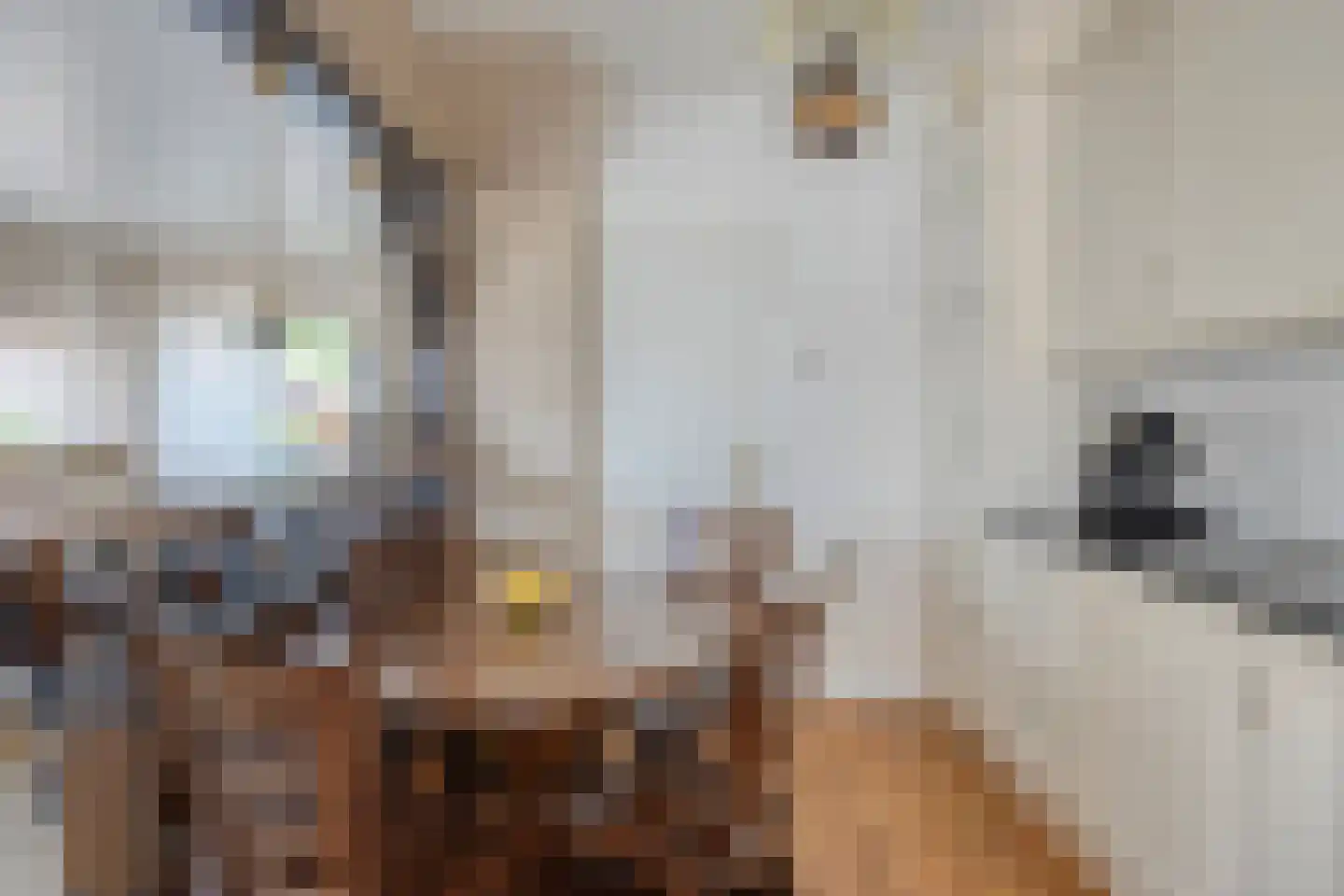 dokter Hondelinkstraat 5 Denekamp thumbnail 9