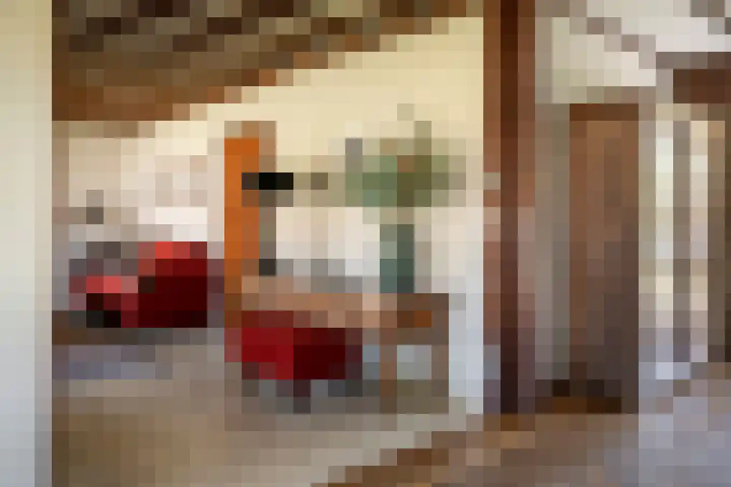 dokter Hondelinkstraat 52 Denekamp thumbnail 10