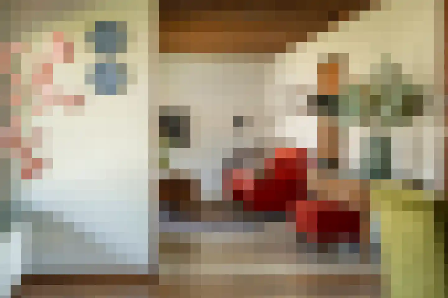 dokter Hondelinkstraat 52 Denekamp thumbnail 12