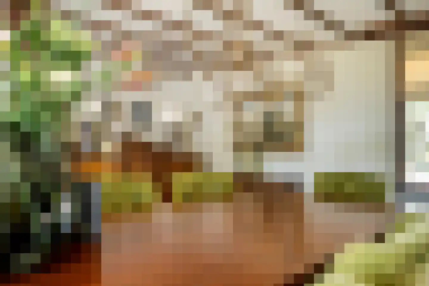 dokter Hondelinkstraat 52 Denekamp thumbnail 14