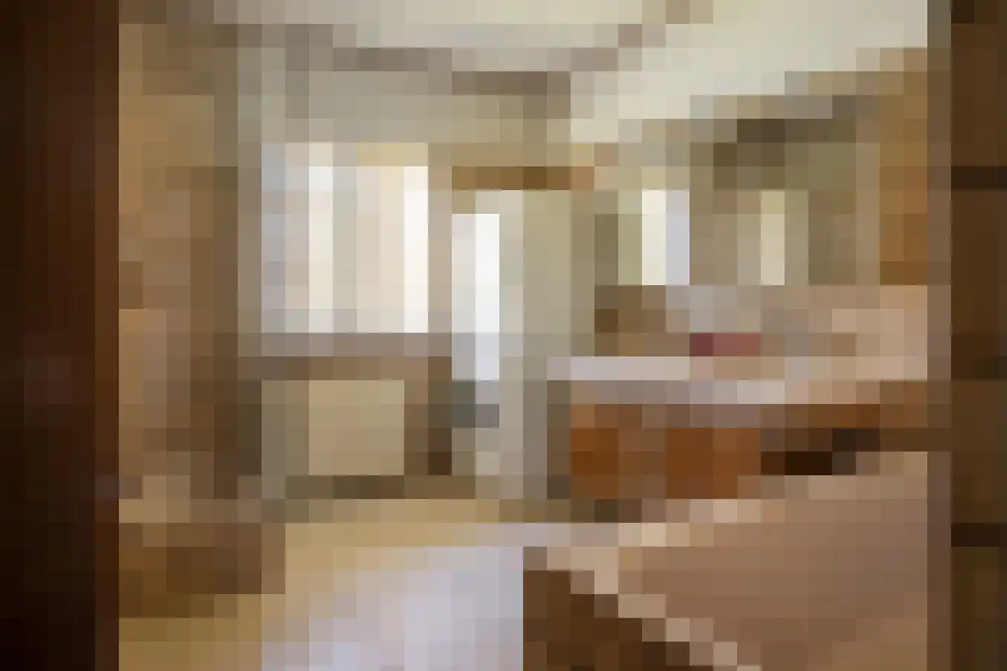 dokter Hondelinkstraat 52 Denekamp thumbnail 22