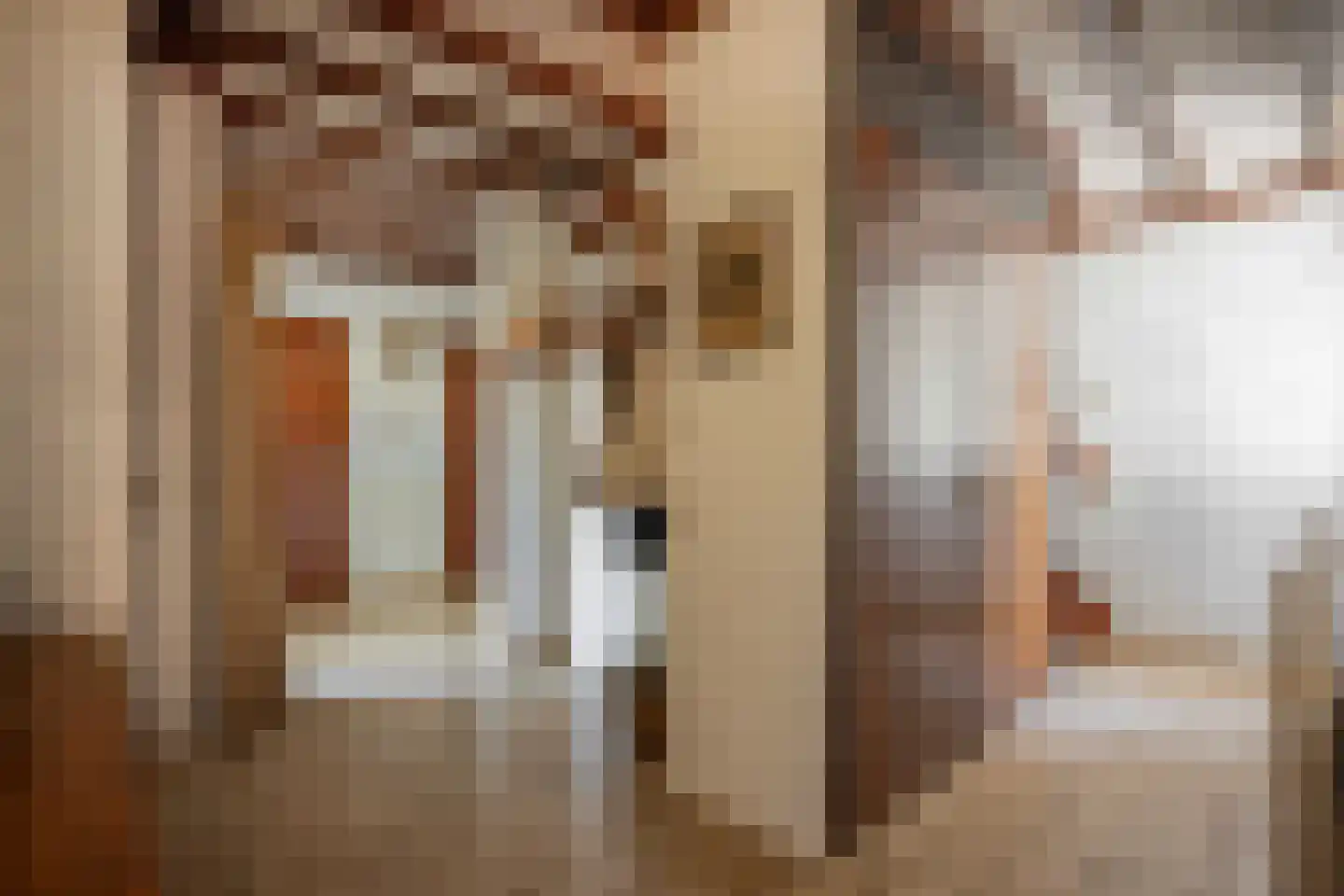 dokter Hondelinkstraat 52 Denekamp thumbnail 23