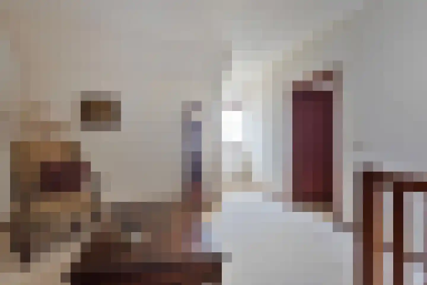 dokter Hondelinkstraat 52 Denekamp thumbnail 24