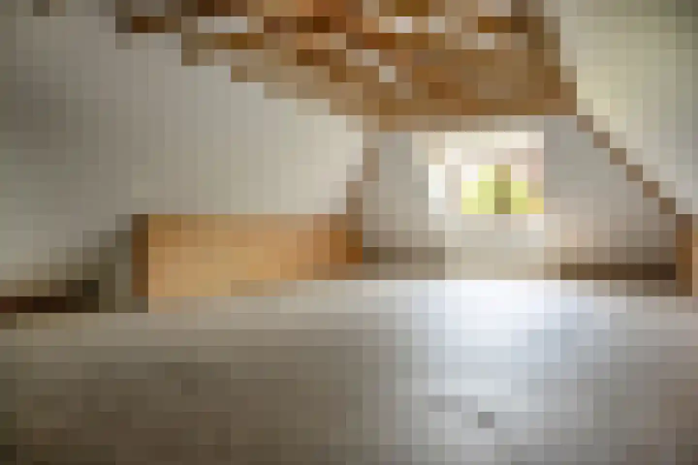 dokter Hondelinkstraat 52 Denekamp thumbnail 27