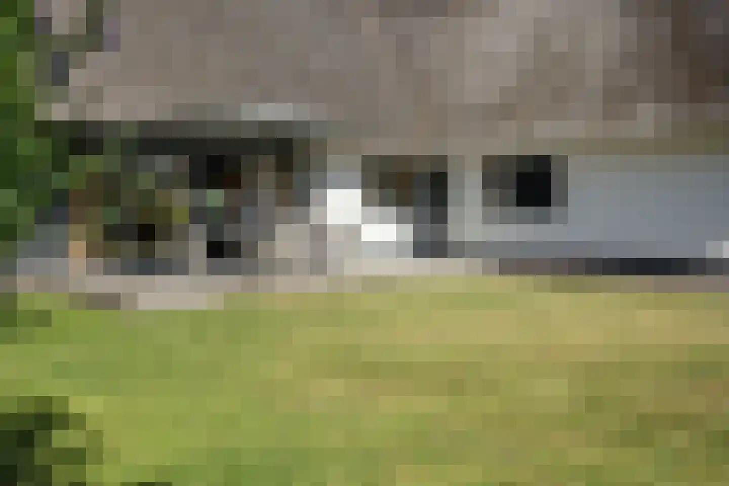 dokter Hondelinkstraat 52 Denekamp thumbnail 30
