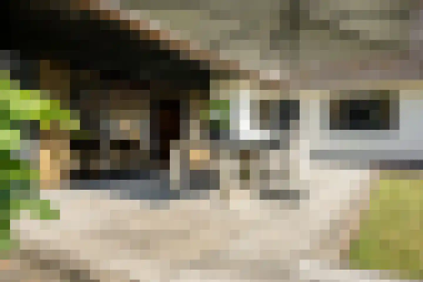 dokter Hondelinkstraat 52 Denekamp thumbnail 31