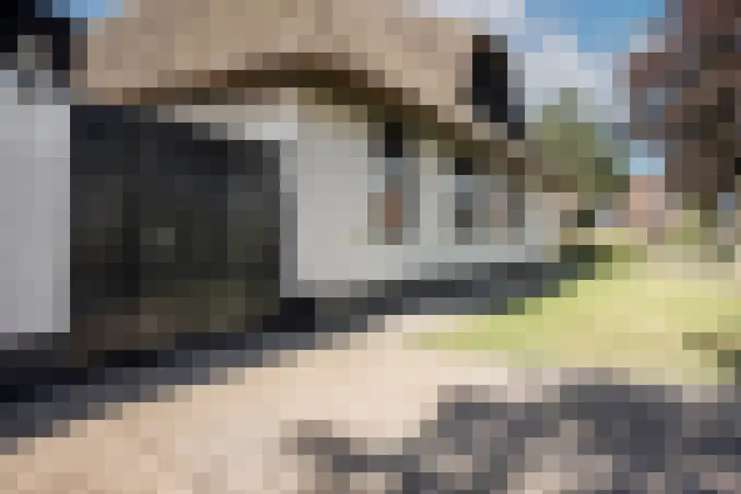 dokter Hondelinkstraat 52 Denekamp thumbnail 38
