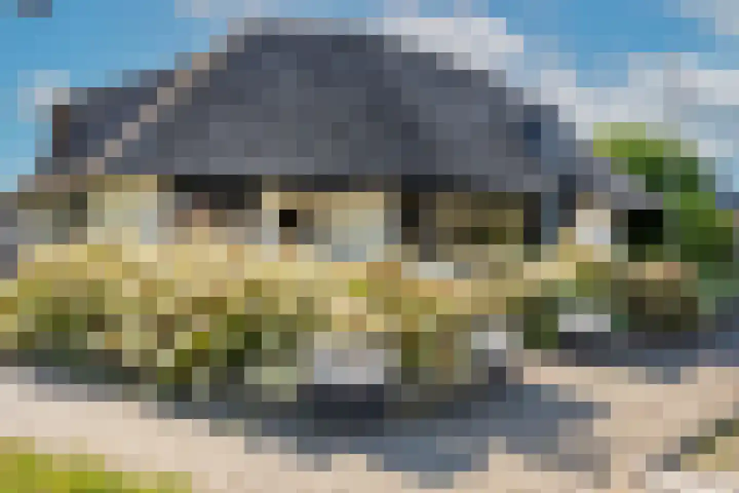 dokter Hondelinkstraat 52 Denekamp thumbnail 41