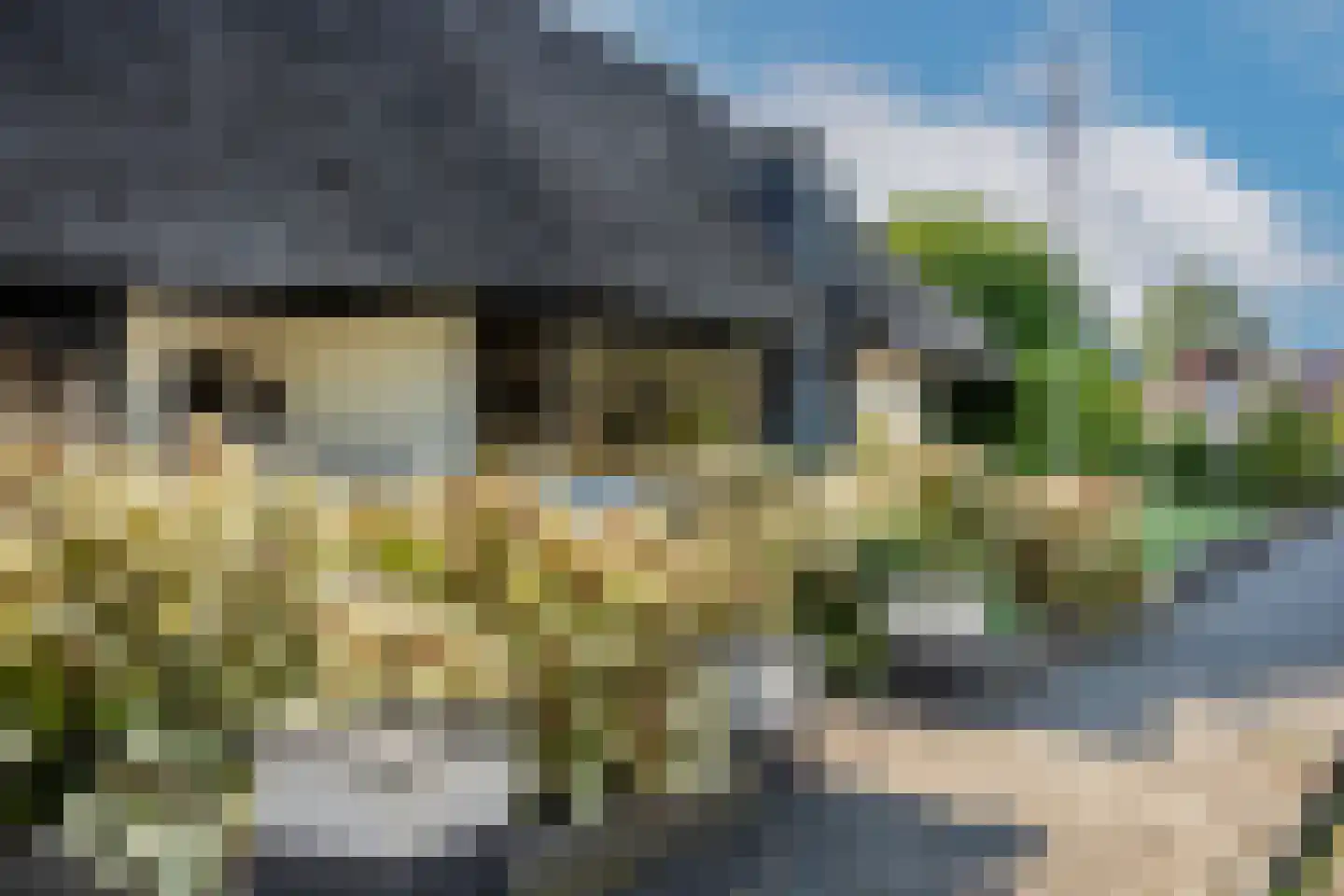 dokter Hondelinkstraat 52 Denekamp thumbnail 42