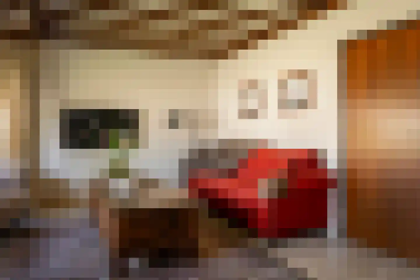 dokter Hondelinkstraat 52 Denekamp thumbnail 7