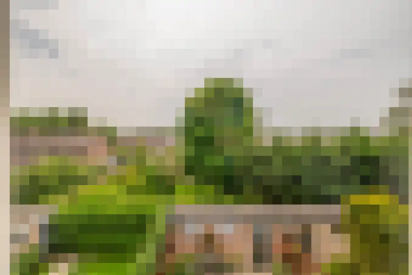 Dokter Hoogkamerlaan 30 Middenmeer thumbnail 14