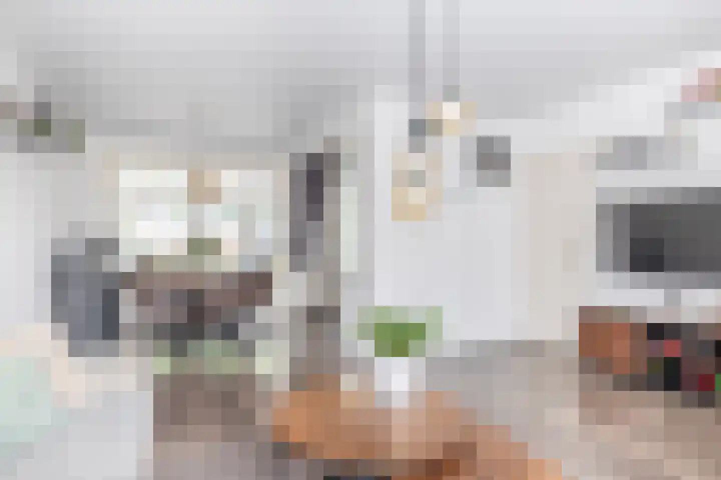 Dokter Hoogkamerlaan 30 Middenmeer foto 3