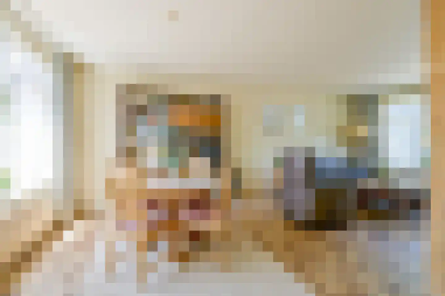 Dokter Hoogkamerlaan 74 Middenmeer thumbnail 14