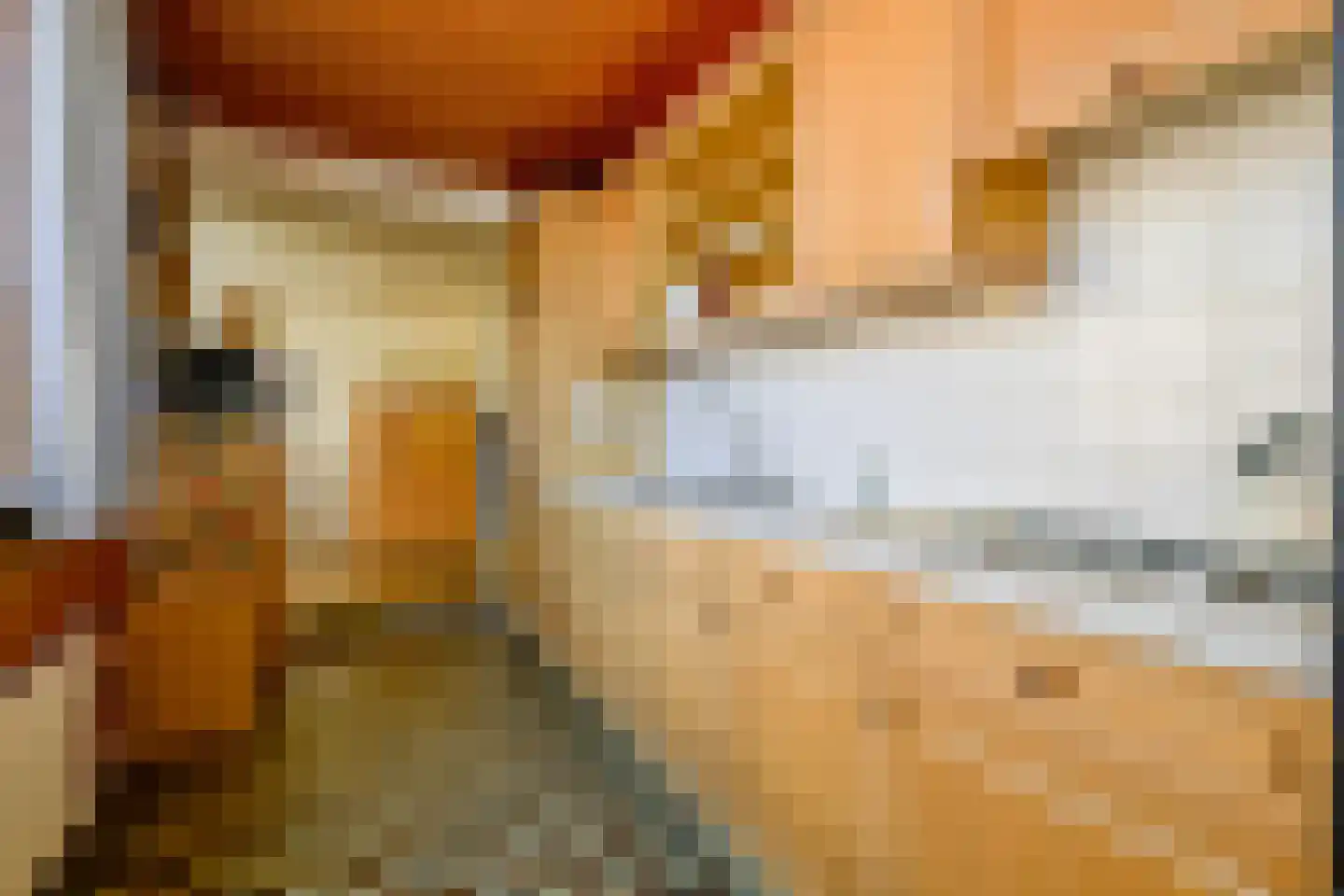 Dokter Hoogkamerlaan 74 Middenmeer thumbnail 16