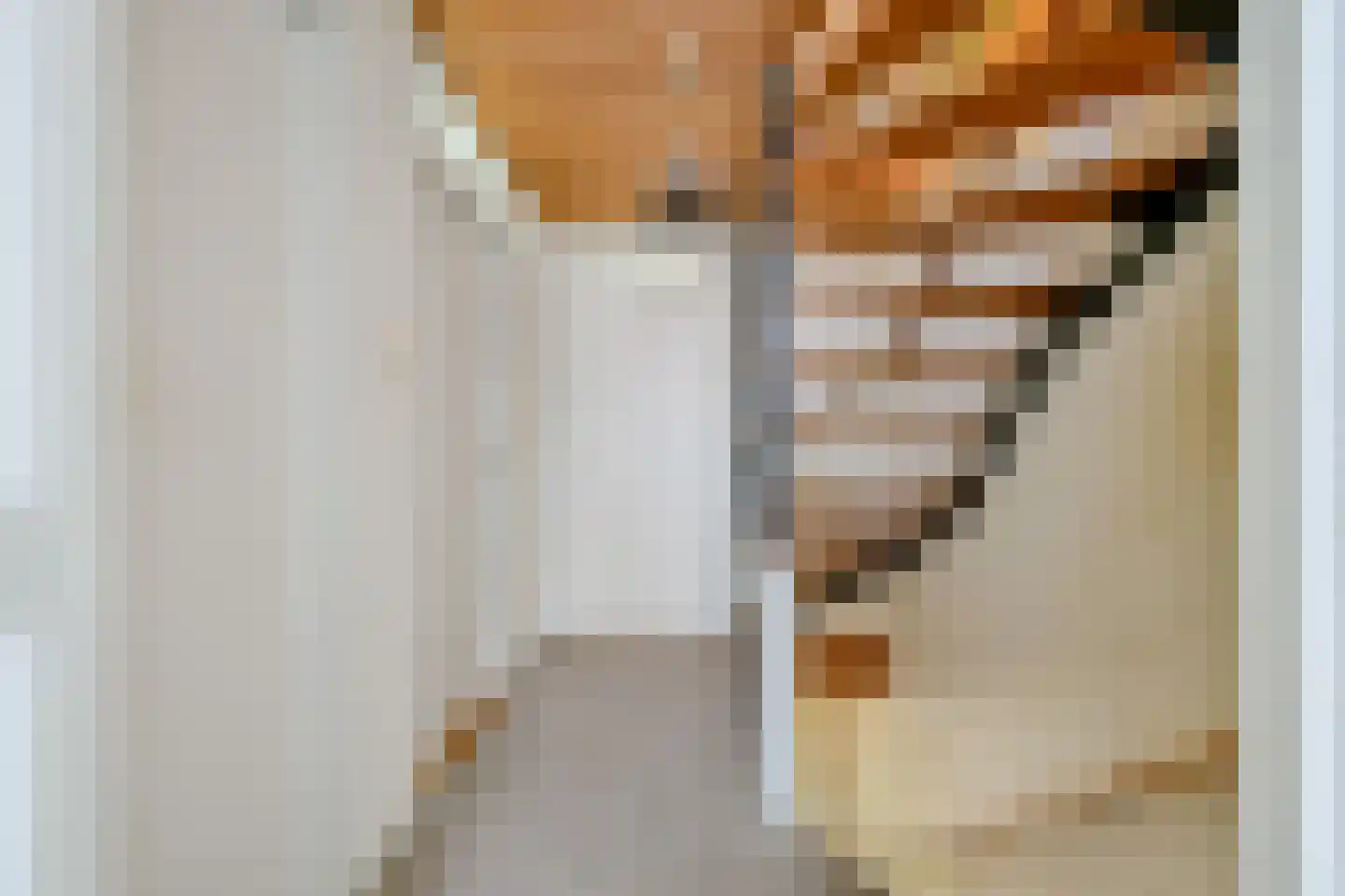 Dokter Hoogkamerlaan 74 Middenmeer thumbnail 27