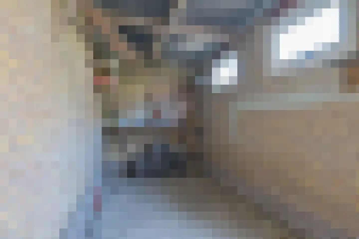 Dokter Hoogkamerlaan 74 Middenmeer thumbnail 34