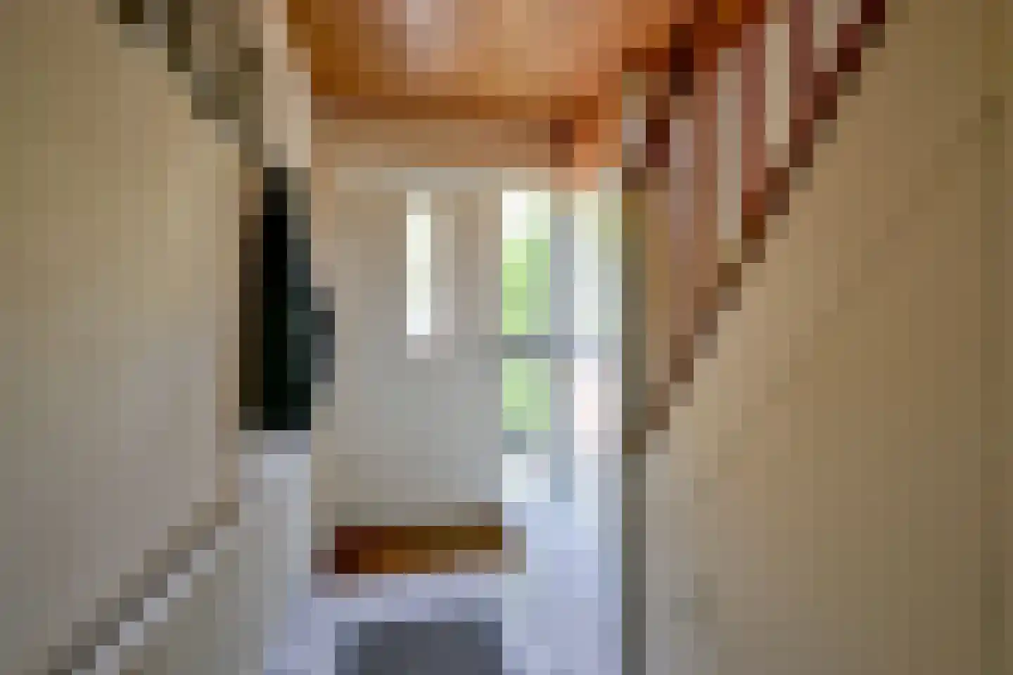 Dokter Hoogkamerlaan 74 Middenmeer thumbnail 7